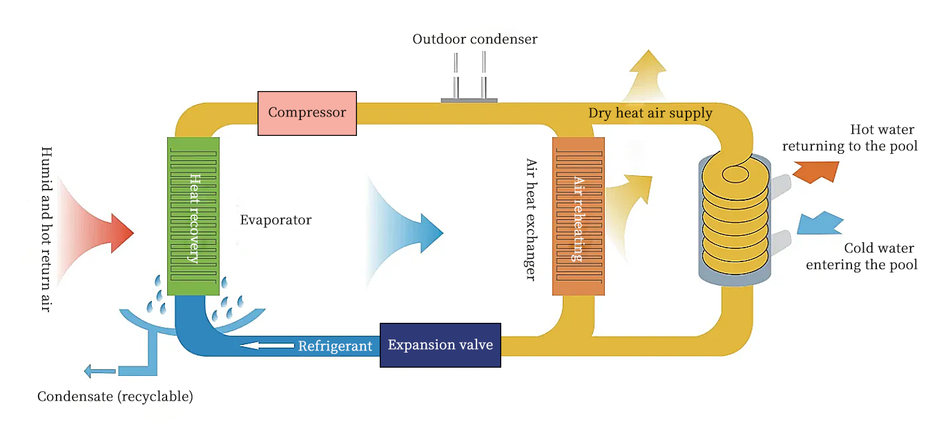 泳池除湿恒温热泵工作原理-英.png